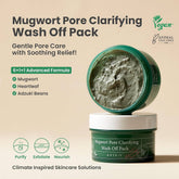 Axis y Mugwort Pore Clarifying Wash Off Pack