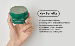 Axis y Mugwort Pore Clarifying Wash Off Pack