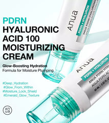 Anua PDRN Hyaluronic Acid 100 Moisturizing Cream 60ml