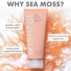 GET CLEAN 2% PHA & SEA MOSS GENTLE FOAMING CLEANSER